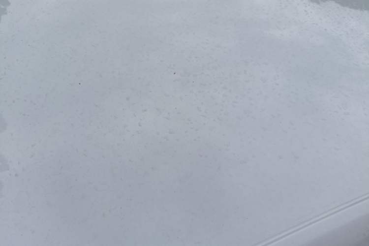 Used Buick GT 2019 15T Dual-Clutch Advanced Version China VI Standard Roof