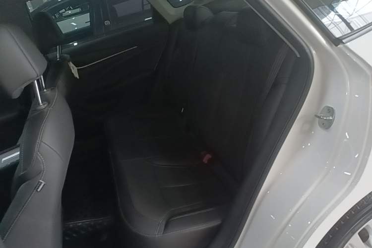 Used Buick GT 2021 Revised Version Flagship 1.5L Automatic Entry-Level Trim Left Rear Seat