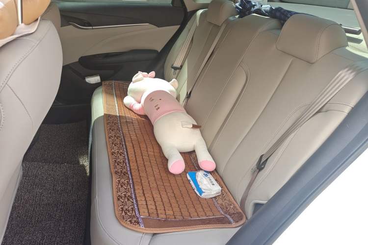 Used Buick GT 2021 Exemplar 1.5L Automatic Elite Version Left Rear Seat