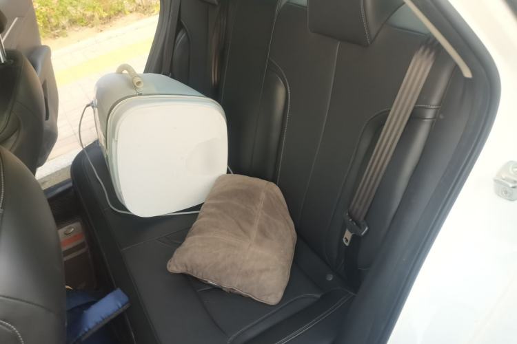 Used Buick GT 2021 1.3T Automatic Mild Hybrid Elite Version Left Rear Seat