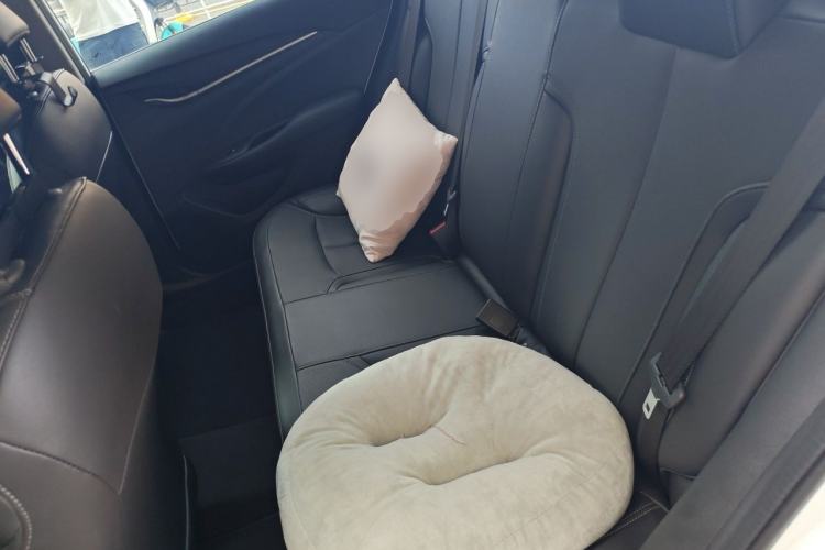 Used Buick GT 2021 Revised Version Flagship 1.5L Automatic Elite Edition Left Rear Seat