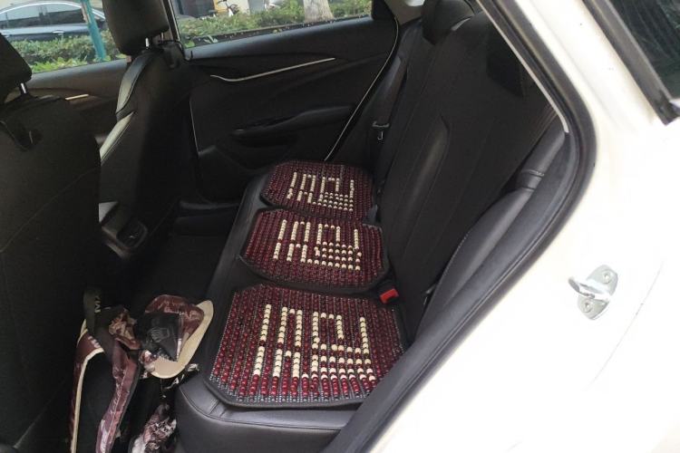 Used Buick GT 2021 Revised Version Flagship 1.5L Automatic Elite Edition Left Rear Seat