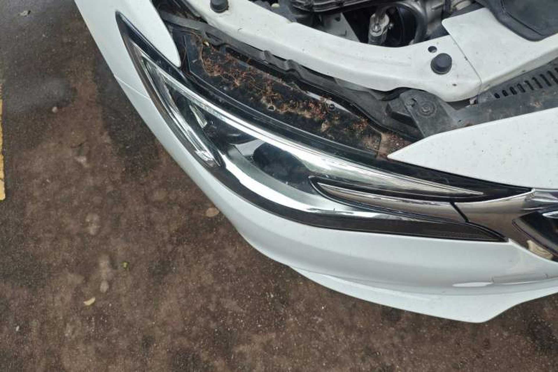 Used Buick GT 2021 Revised Version Flagship 1.5L Automatic Elite Edition Right Front Headlight