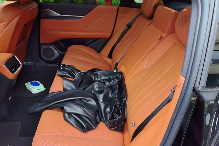 Used Buick L7 2025 Model Luxury Leisure Smart Driving Edition Left Rear Seat