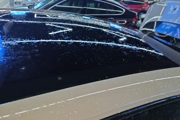 Used Buick L7 2025 Model Aivia Roof