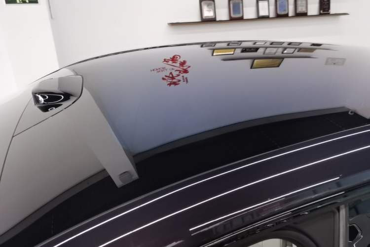 Used Buick L7 2025 Model Aivia Roof