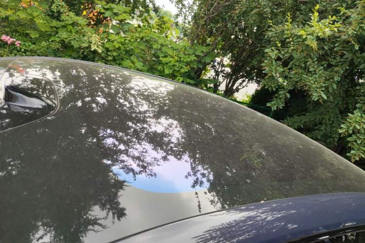 Used Buick L7 2025 Model Aivia Roof
