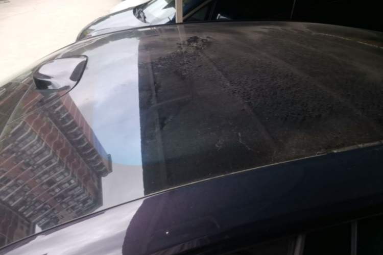 Used Buick L7 2025 Model Aivia Roof