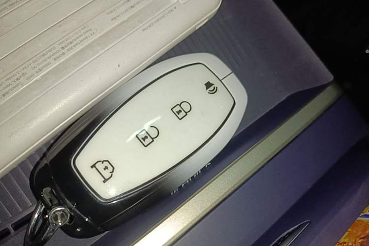 Used Buick L7 2025 Model Aivia Vehicle Key