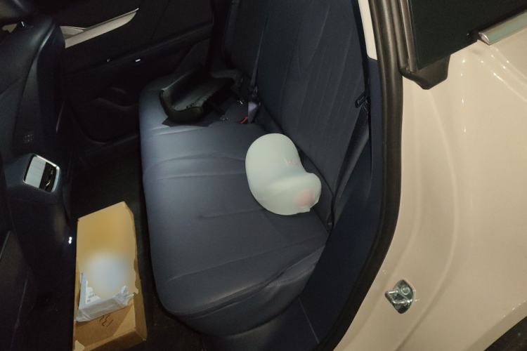 Used Buick L7 2025 Model Prestige Edition Left Rear Seat
