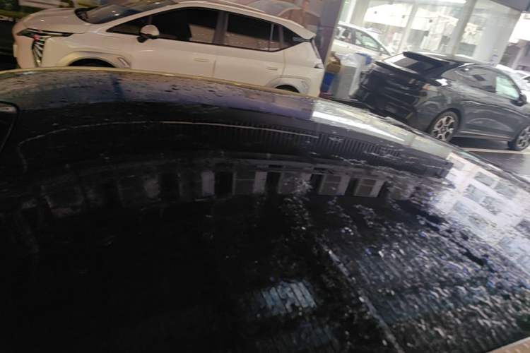 Used Buick L7 2025 Model Aivia Roof