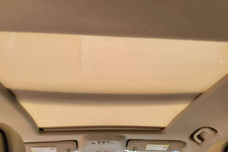 Used Buick LaCrosse 2009 3.0L Flagship Edition Headliner