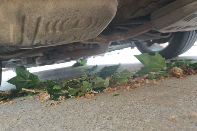 Used Buick LaCrosse 2010 3.0L Flagship Edition Chassis Rear Left