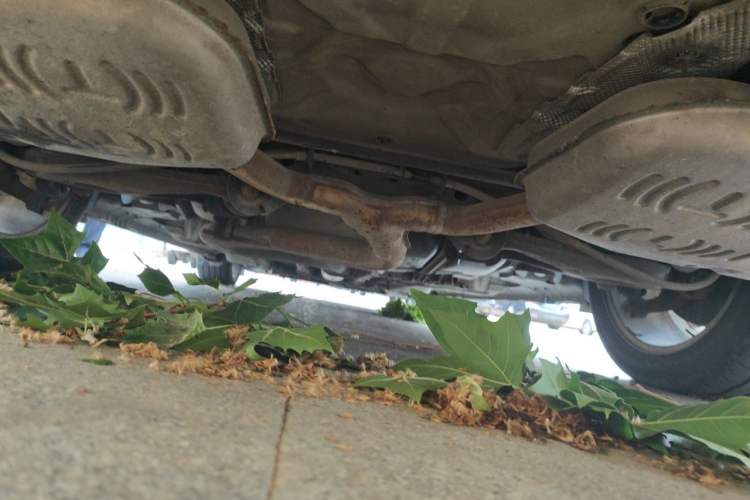 Used Buick LaCrosse 2010 3.0L Flagship Edition Chassis Rear