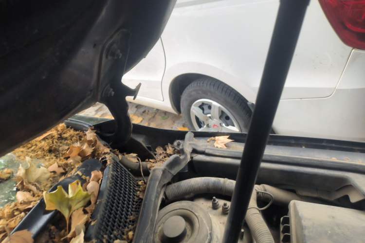 Used Buick LaCrosse 2010 2.4L Elegant Edition Engine Bay Left
