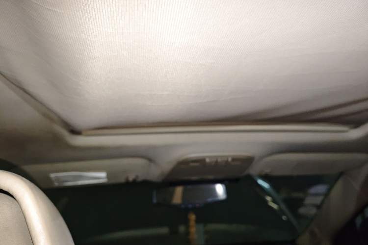 Used Buick LaCrosse 2010 2.4L Luxury Edition Headliner