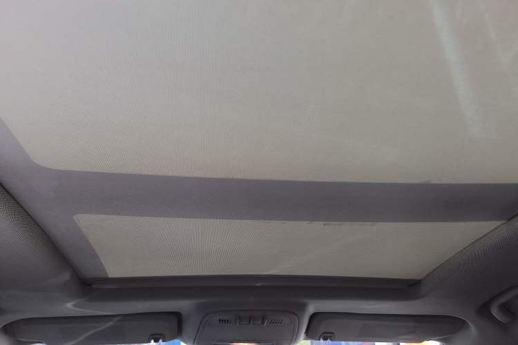 Used Buick LaCrosse 2010 3.0L Flagship Edition Headliner