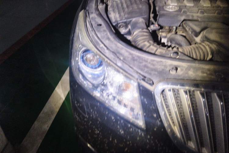 Used Buick LaCrosse 2012 2.4L SIDI Luxury Edition Right Front Headlight