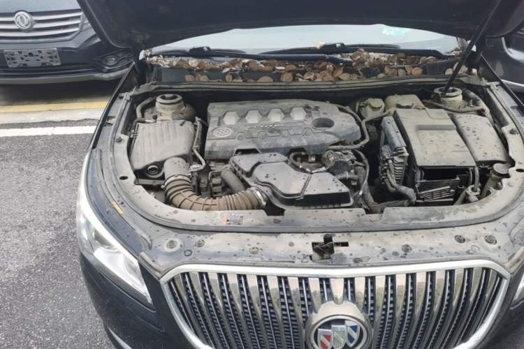 Used Buick LaCrosse 2013 2.4L SIDI Elite Comfort Version Engine Bay Right