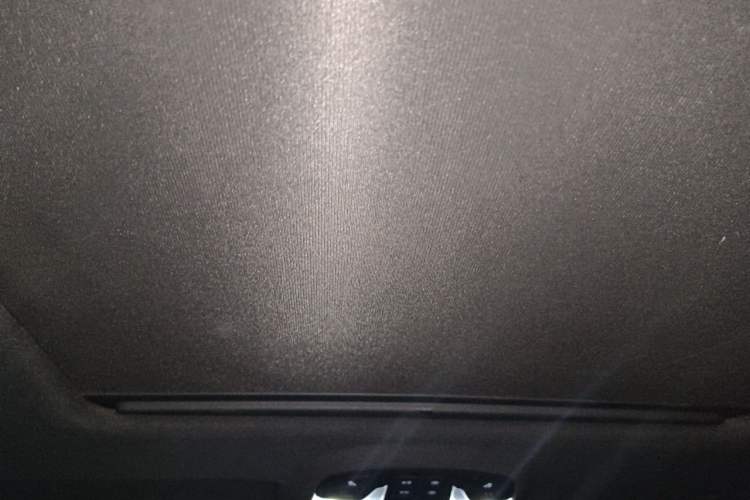 Used Buick LaCrosse 2013 2.4L SIDI Luxury Comfort Edition Headliner