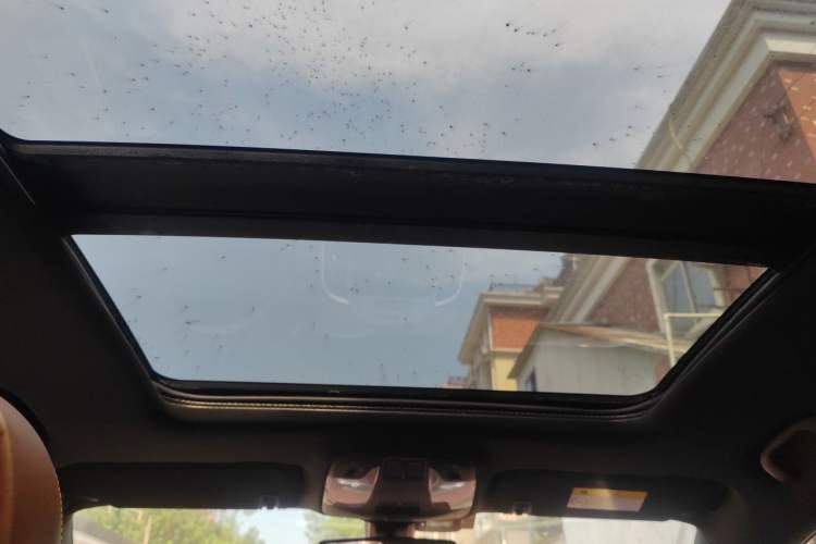 Used Buick LaCrosse 2013 2.4L SIDI Elite Comfort Version Headliner