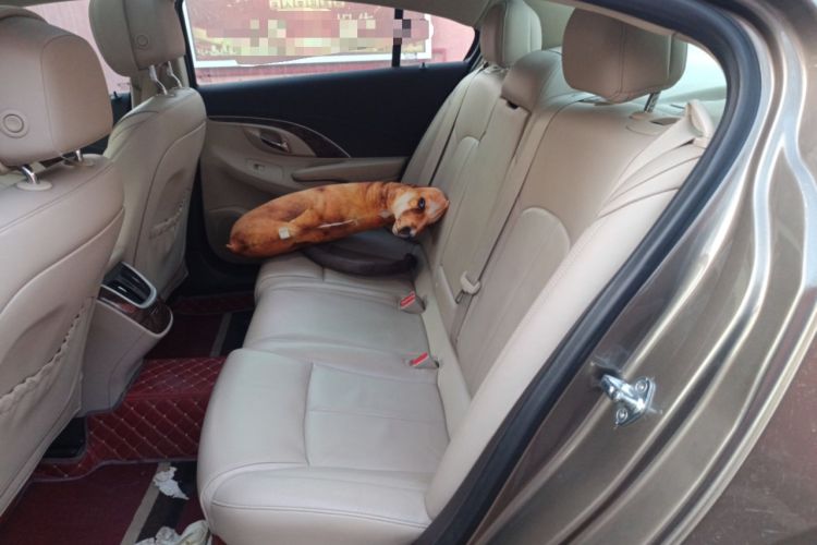 Used Buick LaCrosse 2013 2.4L SIDI Leading Comfort Version Left Rear Seat