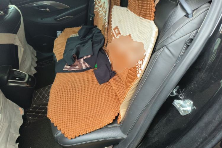 Used Buick LaCrosse 2014 2.0T SIDI Smart Luxury Flagship Edition Left Rear Seat