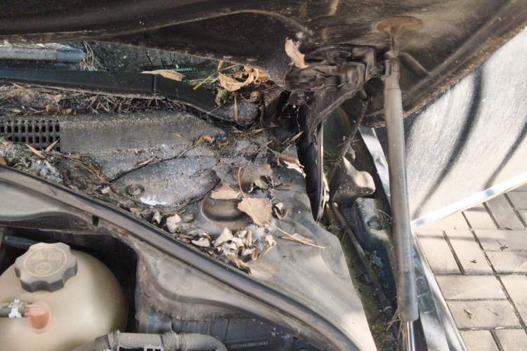 Used Buick LaCrosse 2016 20T Luxury Model Engine Bay Left