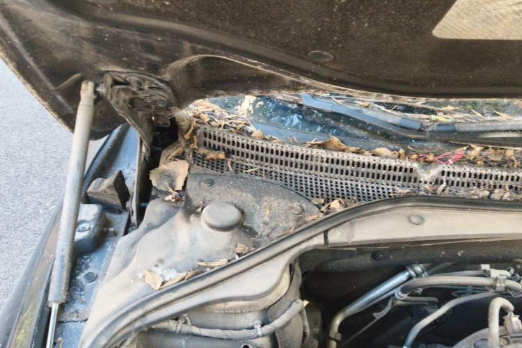 Used Buick LaCrosse 2016 20T Luxury Model Engine Bay Right