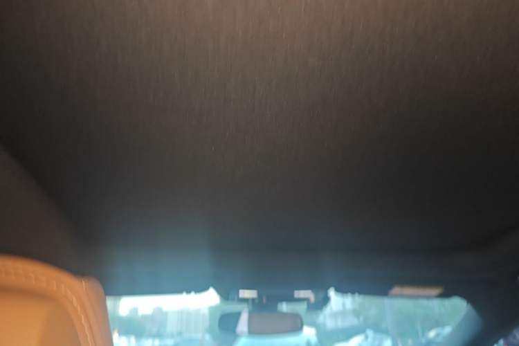 Used Buick LaCrosse 2016 20T Elite Edition Headliner