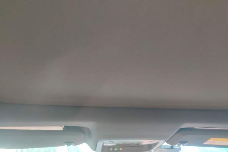 Used Buick LaCrosse 2016 20T Luxury Model Headliner