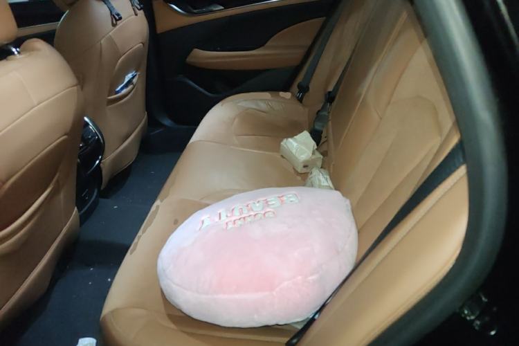 Used Buick LaCrosse 2016 20T Luxury Model Left Rear Seat