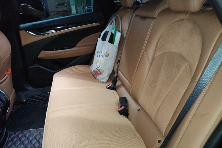 Used Buick LaCrosse 2016 20T Luxury Model Left Rear Seat