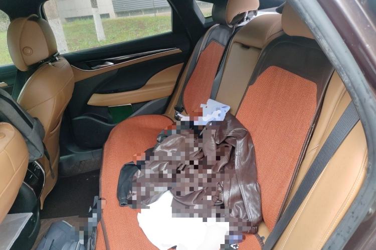 Used Buick LaCrosse 2016 20T Luxury Model Left Rear Seat