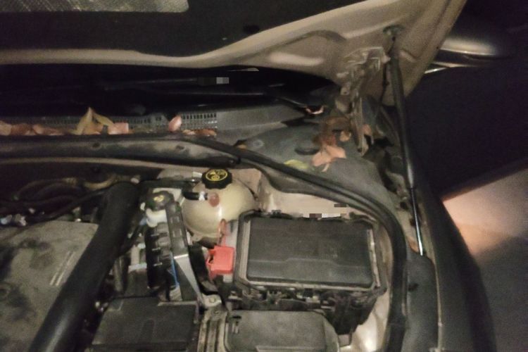 Used Buick LaCrosse 2016 28T Premium Edition Engine Bay Left