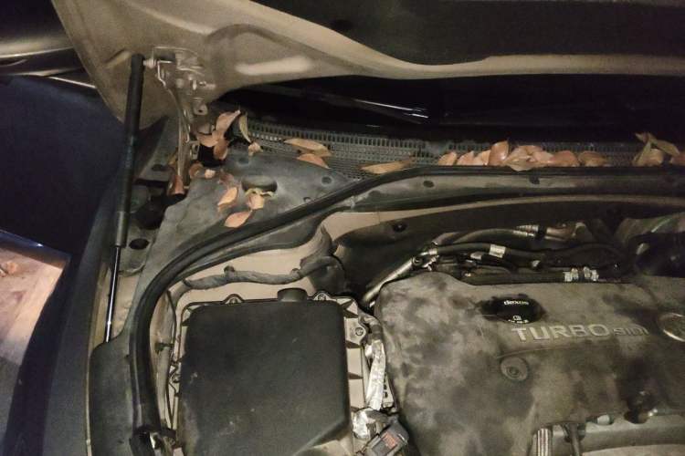 Used Buick LaCrosse 2016 28T Premium Edition Engine Bay Right