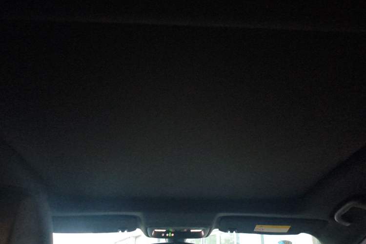 Used Buick LaCrosse 2016 20T Elite Edition Headliner