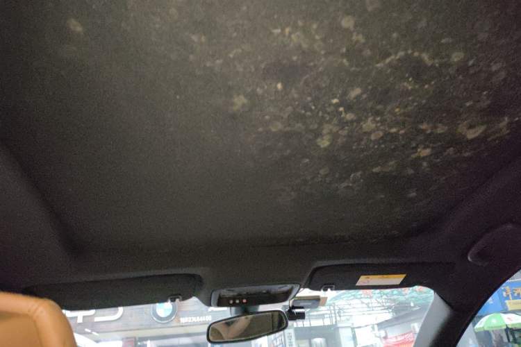 Used Buick LaCrosse 2016 20T Elite Edition Headliner