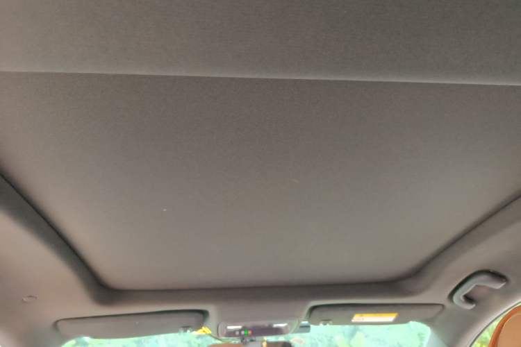 Used Buick LaCrosse 2016 20T Elite Edition Headliner