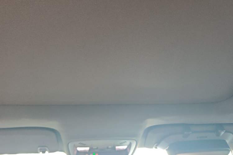 Used Buick LaCrosse 2016 20T Luxury Model Headliner
