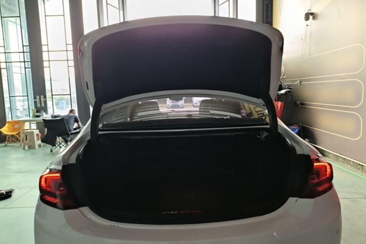 Used Buick LaCrosse 2016 28T Premium Edition Trunk
