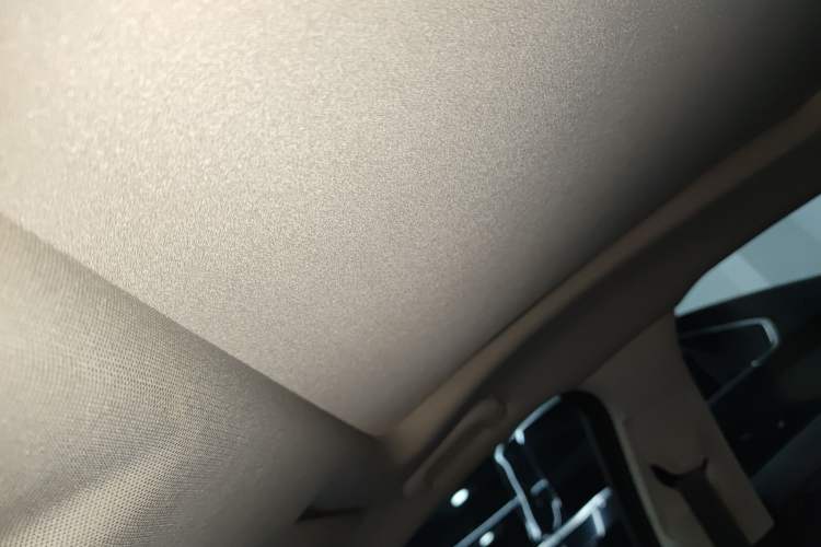 Used Buick LaCrosse 2018 20T Elite Edition Headliner