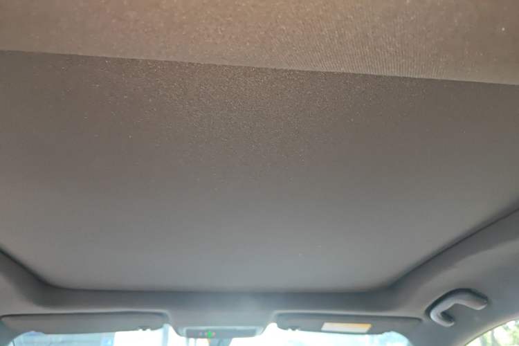 Used Buick LaCrosse 2018 28T Elite Edition Headliner
