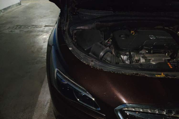 Used Buick LaCrosse 2018 20T Elite Edition Engine Bay Right