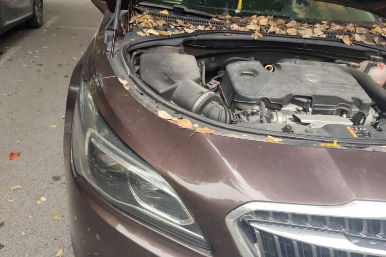 Used Buick LaCrosse 2018 20T Elite Edition Engine Bay Right