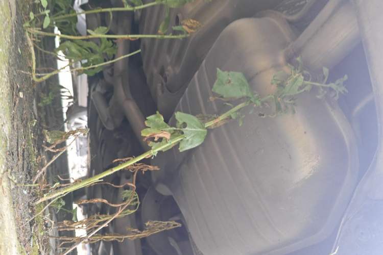 Used Buick LaCrosse 2018 28T Luxury Model Chassis Rear Right