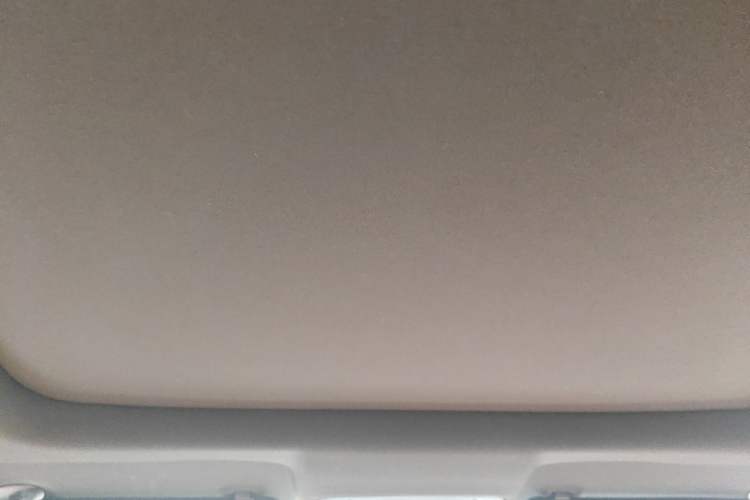 Used Buick LaCrosse 2018 28T Luxury Model Headliner