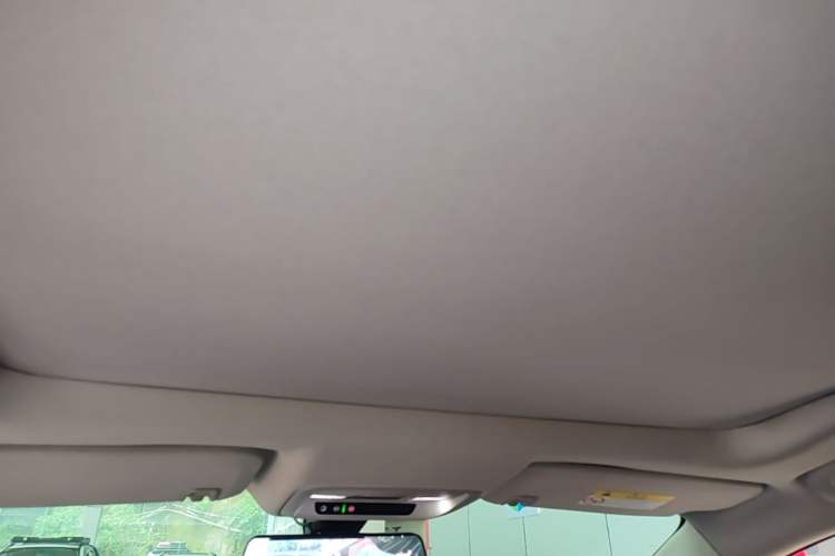 Used Buick LaCrosse 2018 20T Elite Edition Headliner
