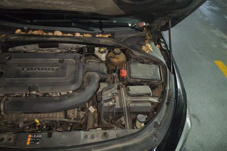 Used Buick LaCrosse 2019 28T Prestige Model Engine Bay Left