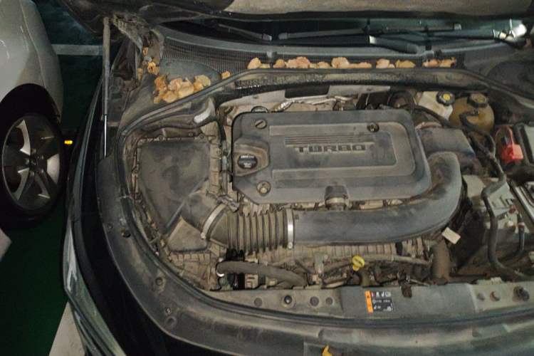 Used Buick LaCrosse 2019 28T Prestige Model Engine Bay Right